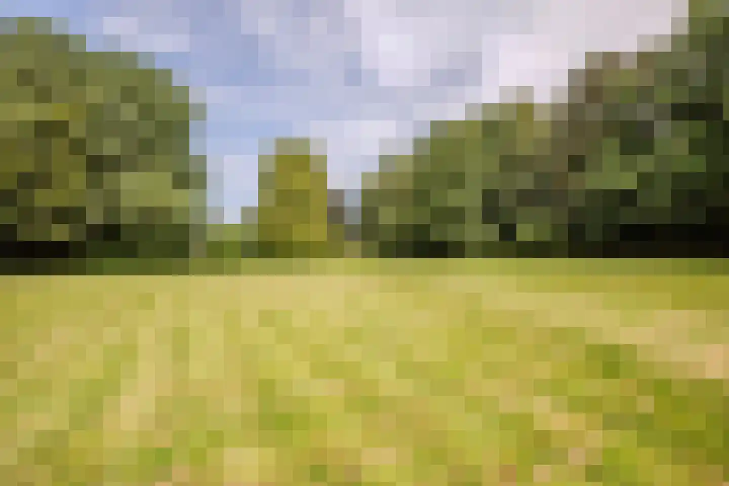 Sittarderweg 18 B Limbricht thumbnail 39