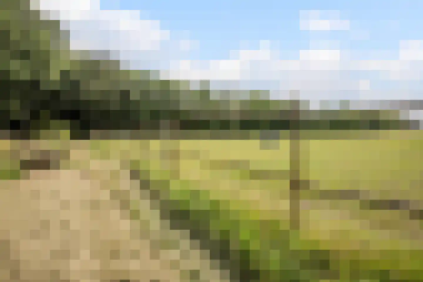 Sittarderweg 18 B Limbricht thumbnail 41