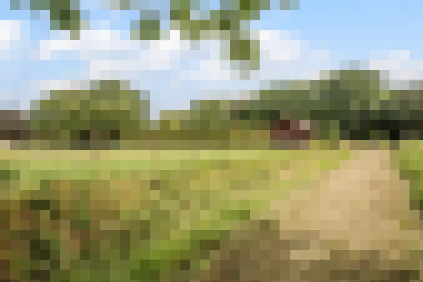 Sittarderweg 18 B Limbricht thumbnail 42