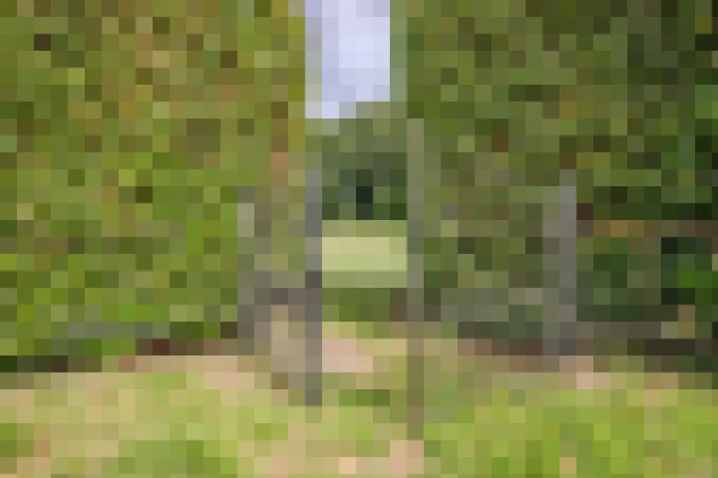 Sittarderweg 18 B Limbricht thumbnail 43