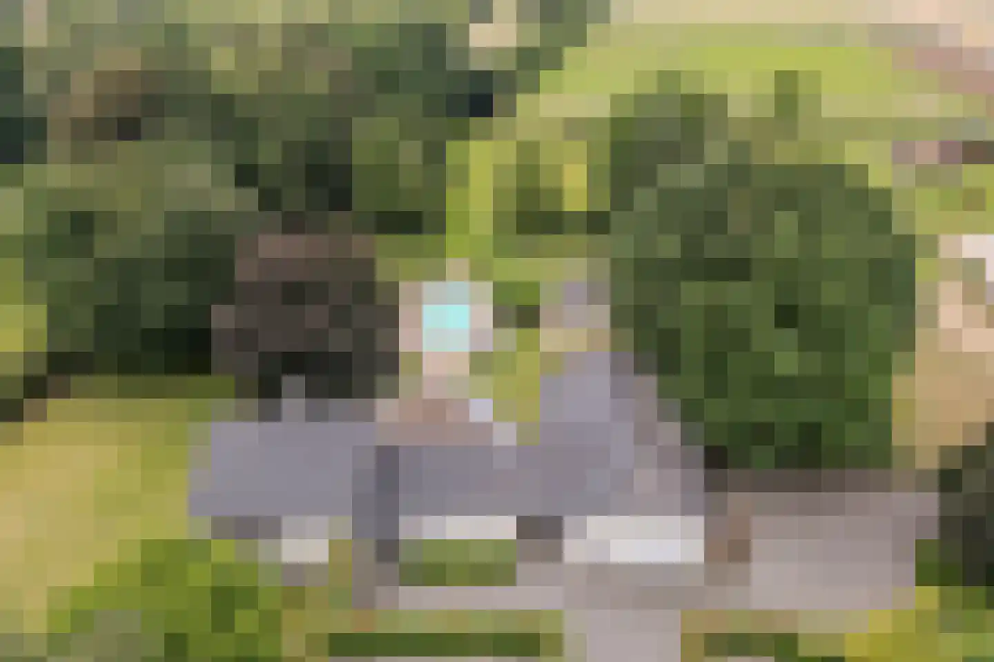 Sittarderweg 18 B Limbricht thumbnail 5