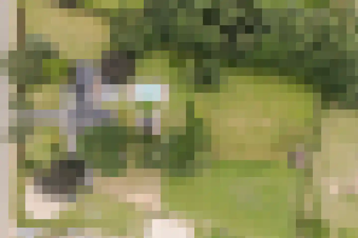 Sittarderweg 18 B Limbricht thumbnail 8