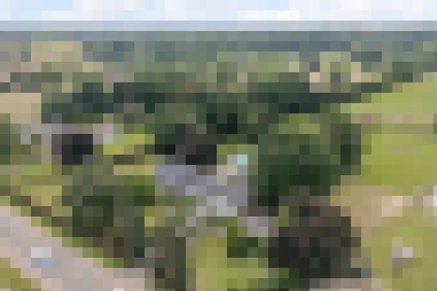 Sittarderweg 18 B Limbricht thumbnail 9