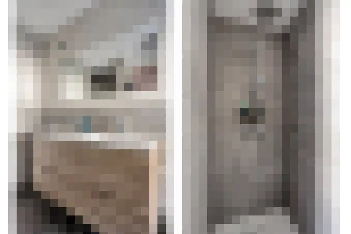 Sittardhof 5 Tilburg thumbnail 37