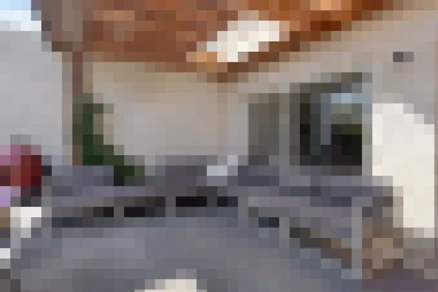 Sittardhof 5 Tilburg thumbnail 43