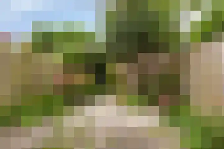 Sittardstraat 13 Almere thumbnail 26