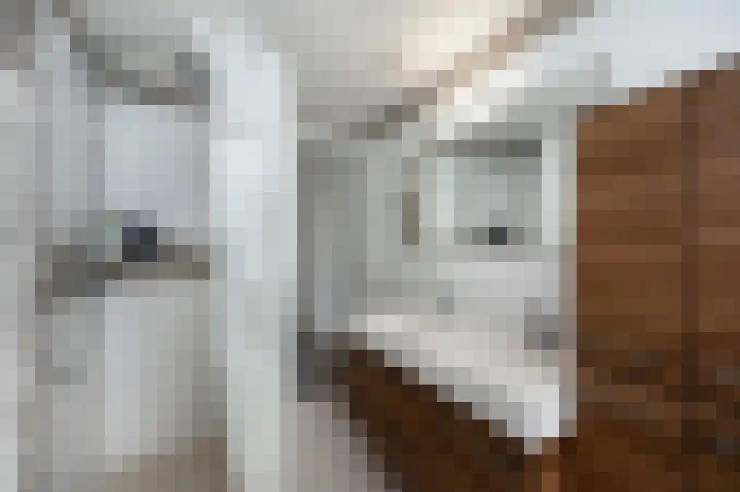 Sittardstraat 5 Almere thumbnail 23
