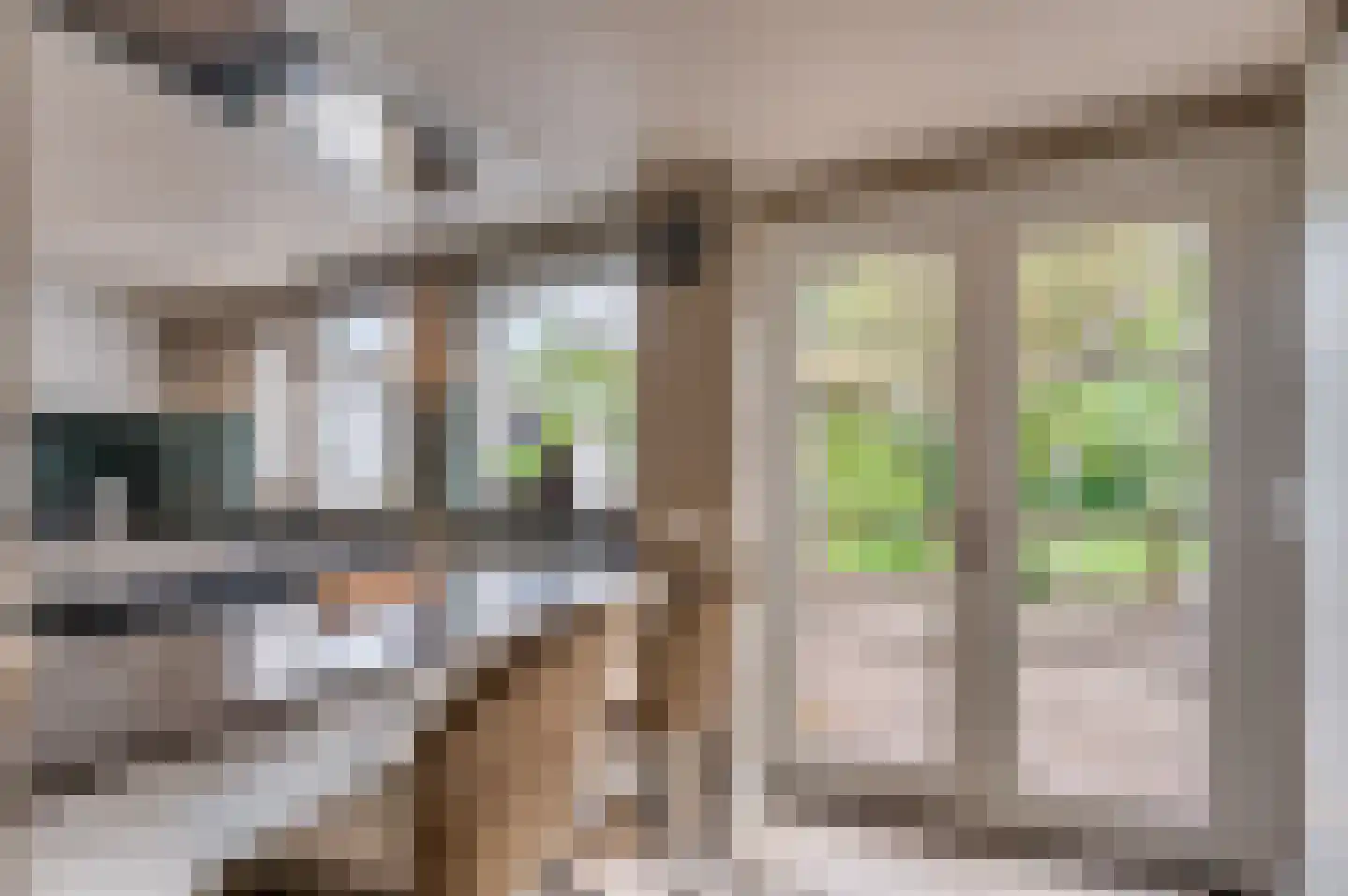 Sitterskampweg 101 Venlo thumbnail 32
