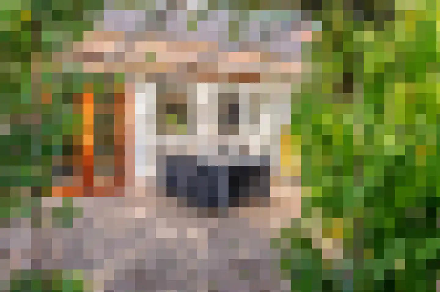 Sitterskampweg 101 Venlo thumbnail 57