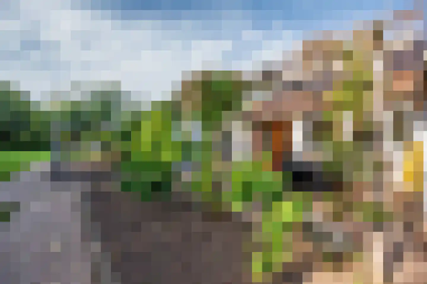 Sitterskampweg 101 Venlo thumbnail 59