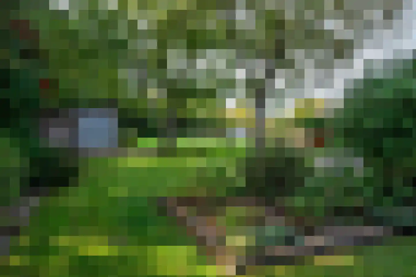 Sitterskampweg 101 Venlo thumbnail 62