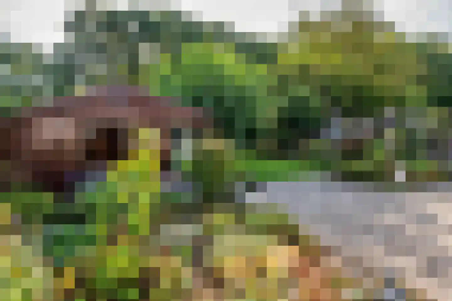 Sitterskampweg 101 Venlo thumbnail 64