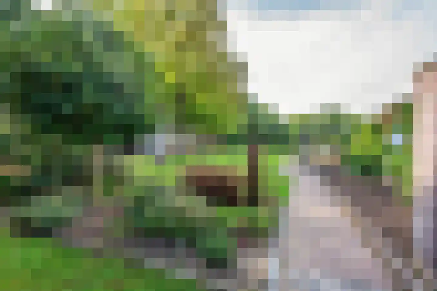 Sitterskampweg 101 Venlo thumbnail 66