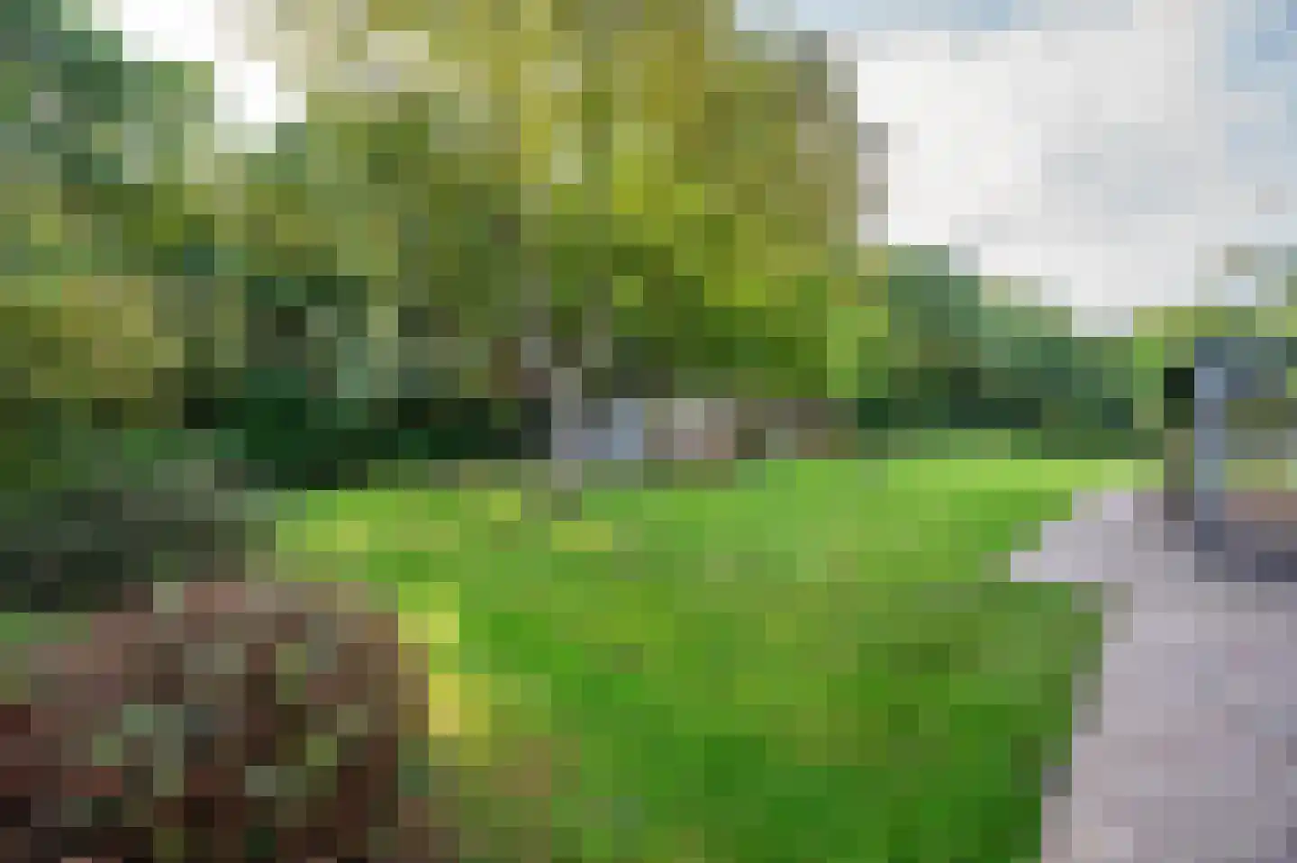 Sitterskampweg 101 Venlo thumbnail 67