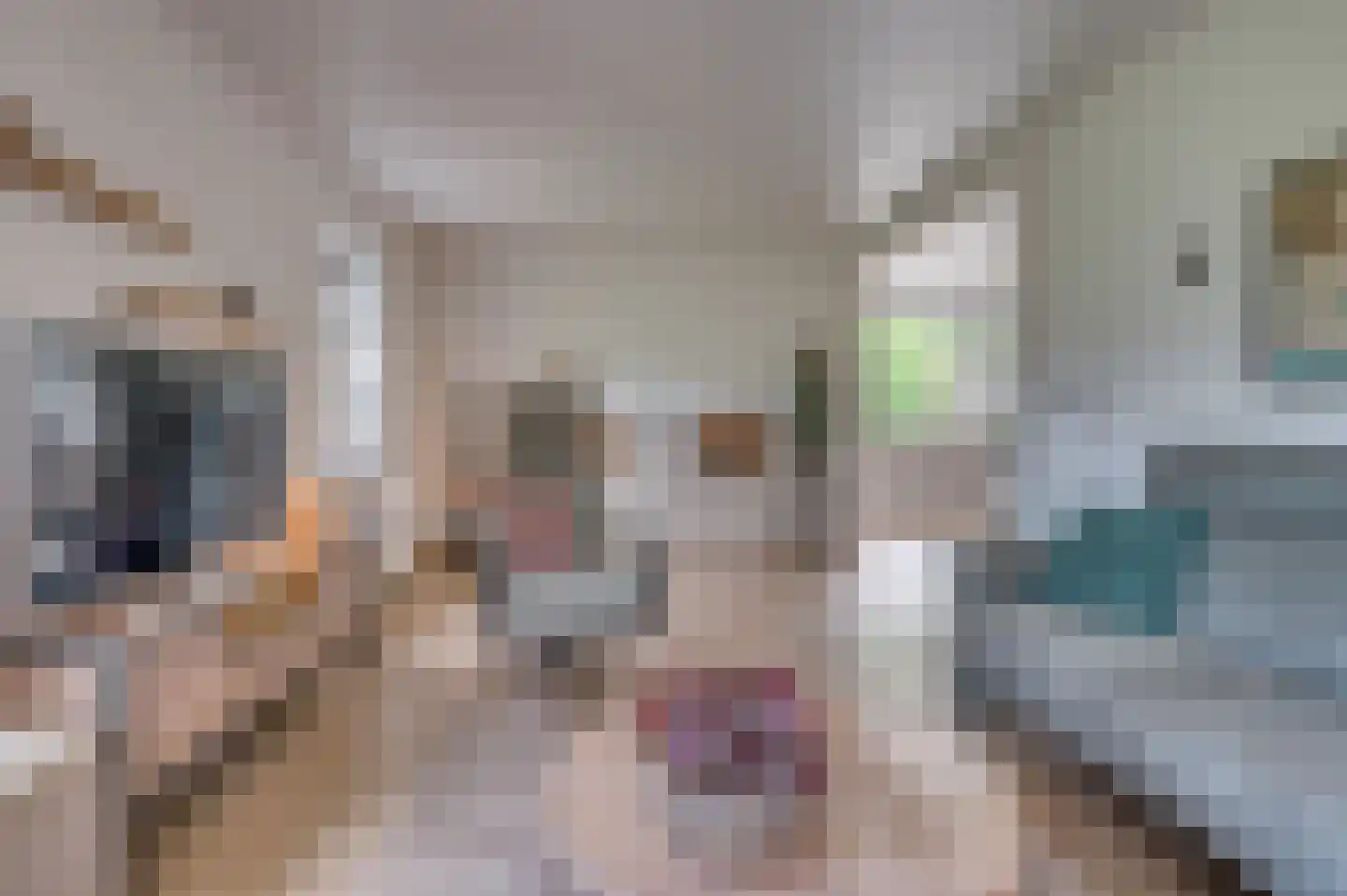 Sitterskampweg 101 Venlo thumbnail 8