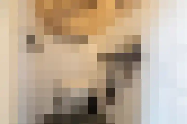 Sivertstraat 2 Meliskerke thumbnail 16