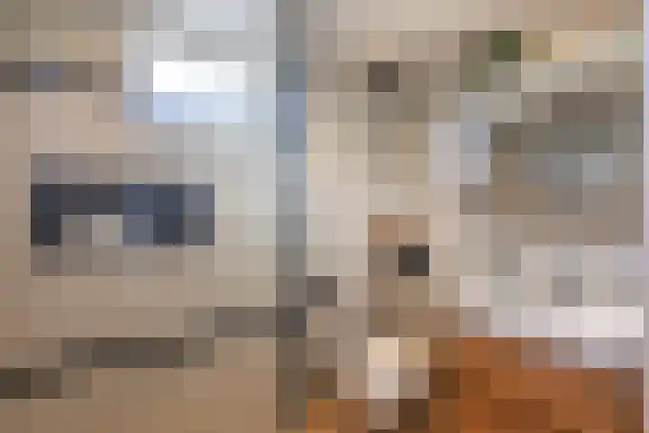 Sivertstraat 2 Meliskerke thumbnail 21