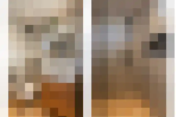 Sivertstraat 2 Meliskerke thumbnail 22