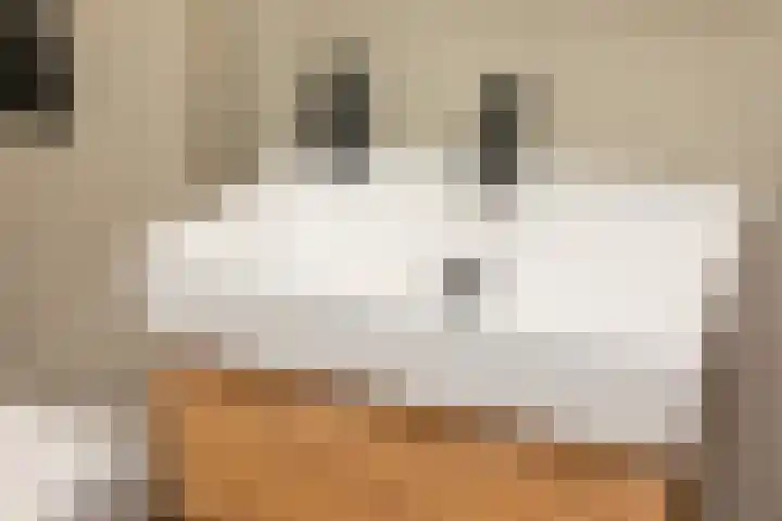 Sivertstraat 2 Meliskerke thumbnail 23