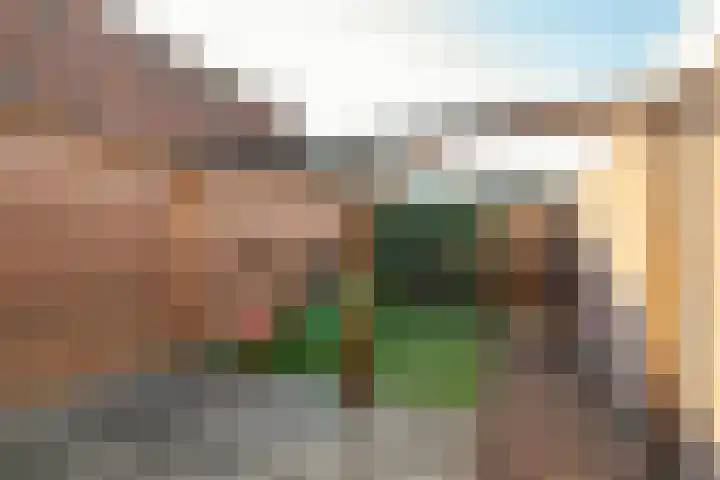 Sivertstraat 2 Meliskerke thumbnail 30