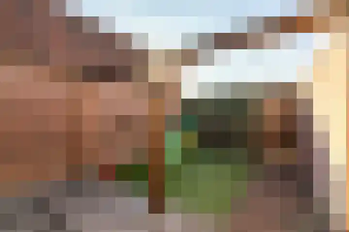 Sivertstraat 2 Meliskerke thumbnail 31