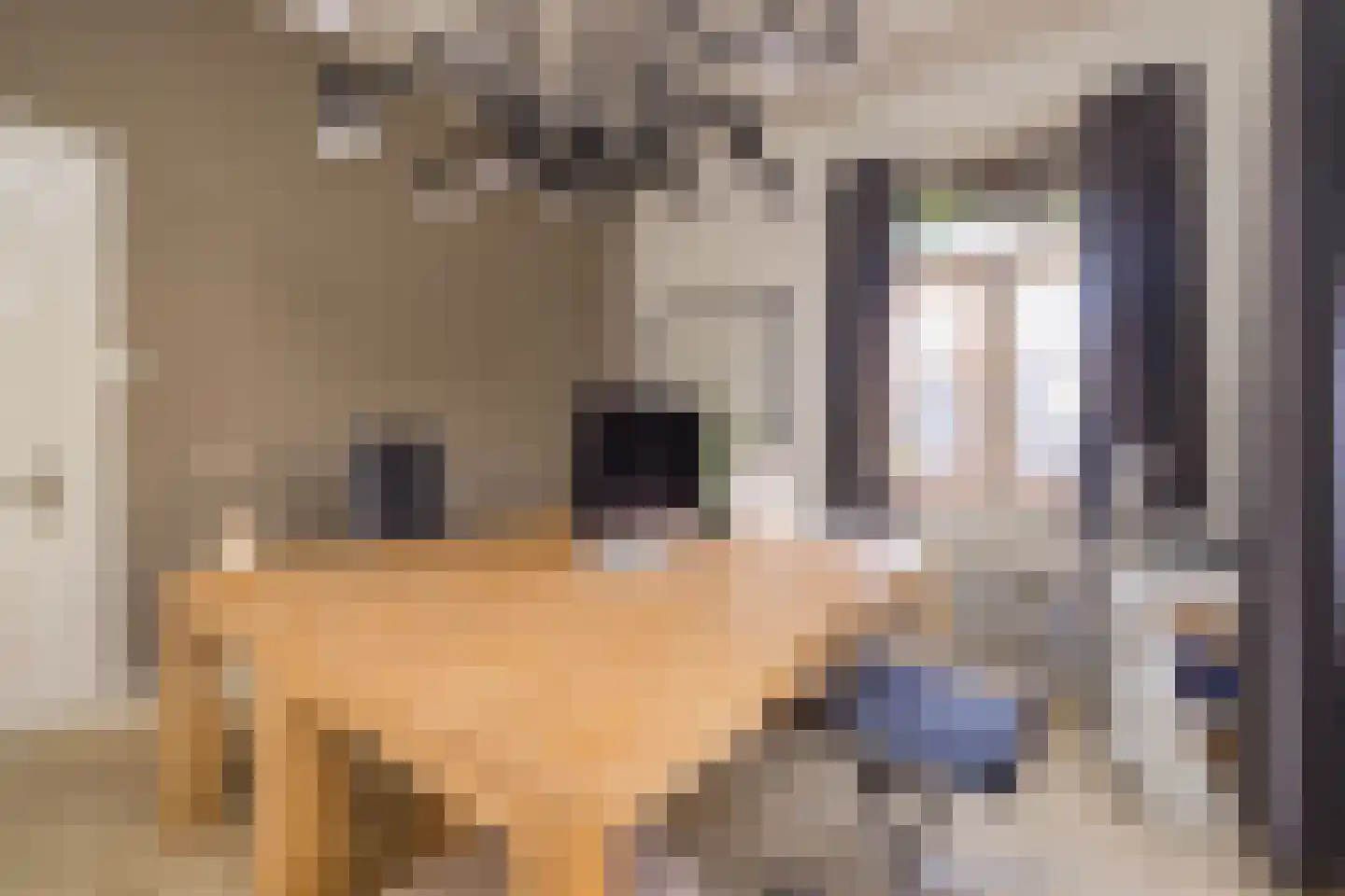 Sixlaan 4 Hillegom thumbnail 42