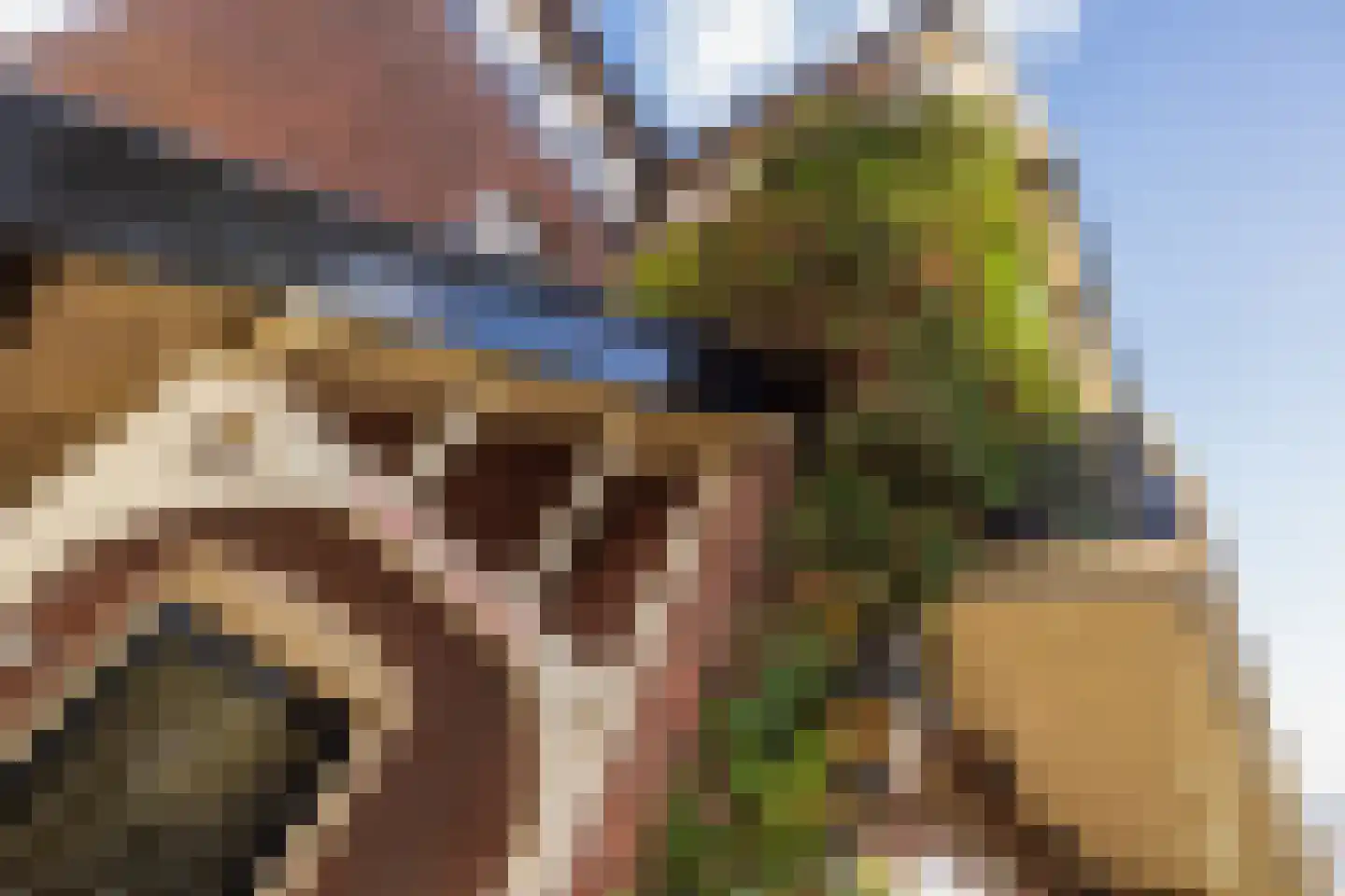 Sixlaan 4 Hillegom thumbnail 63