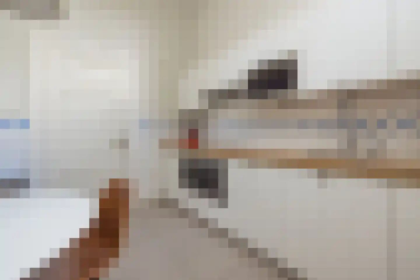 Sixlaan 4 Hillegom thumbnail 8