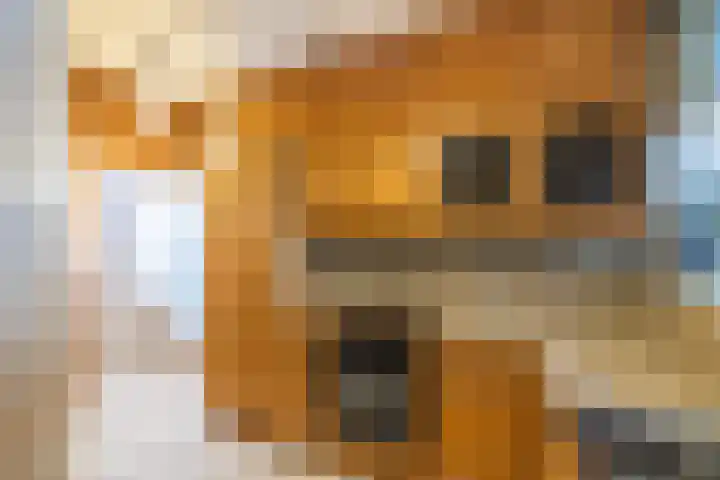 Sixlaan 42 Hillegom thumbnail 11