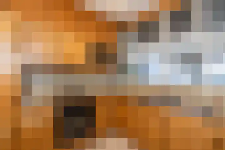 Sixlaan 42 Hillegom thumbnail 12