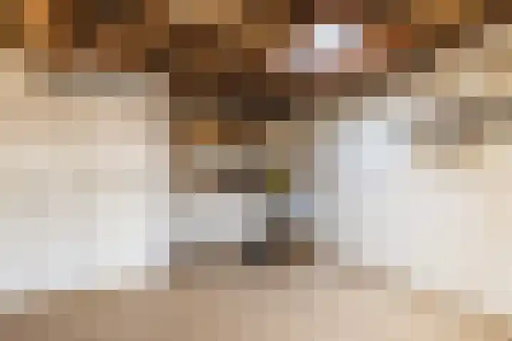 Sixlaan 42 Hillegom thumbnail 17