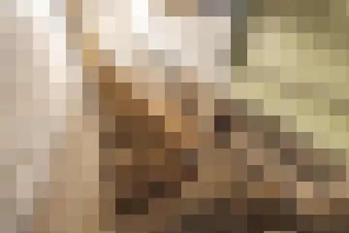 Sixlaan 42 Hillegom thumbnail 40