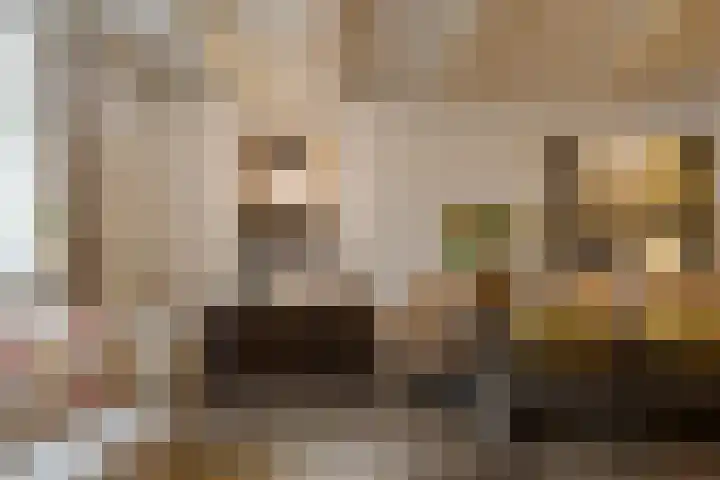 Sixmastins 2 Stiens thumbnail 10