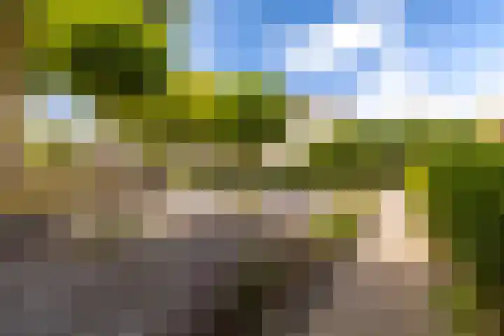 Sixmastins 2 Stiens thumbnail 10