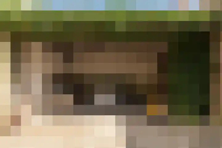 Sixmastins 2 Stiens thumbnail 12