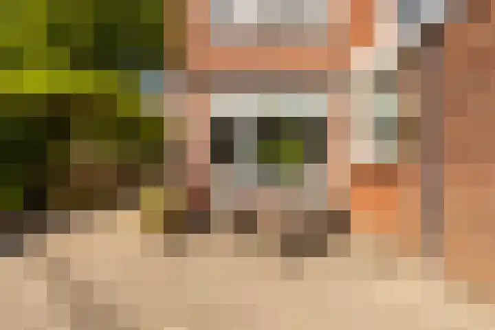 Sixmastins 2 Stiens thumbnail 13
