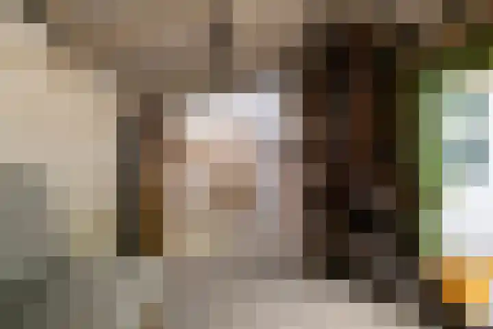 Sixmastins 2 Stiens thumbnail 15