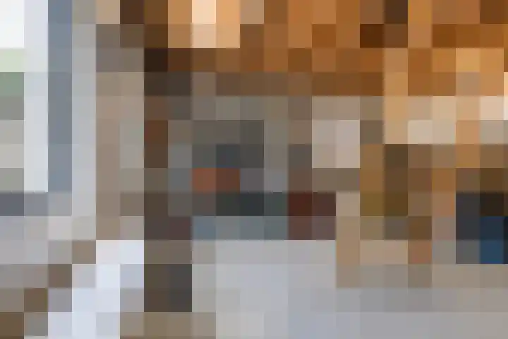 Sixmastins 2 Stiens thumbnail 18