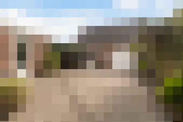 Sixmastins 2 Stiens foto 2