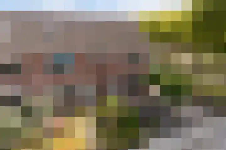 Sixmastins 2 Stiens thumbnail 22