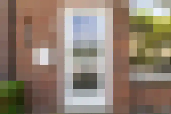 Sixmastins 2 Stiens thumbnail 23
