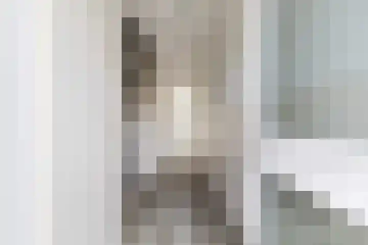 Sixmastins 2 Stiens thumbnail 24