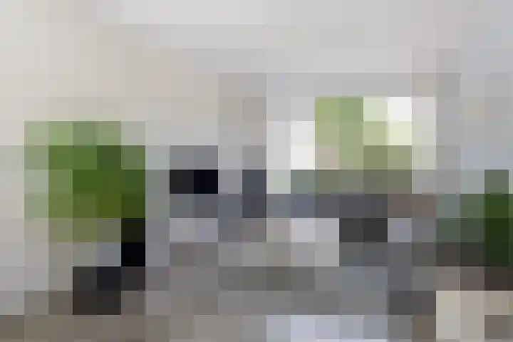 Sixmastins 2 Stiens thumbnail 26