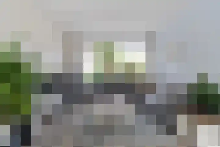 Sixmastins 2 Stiens thumbnail 28