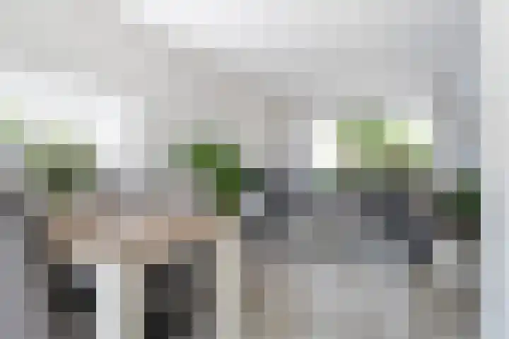 Sixmastins 2 Stiens thumbnail 29