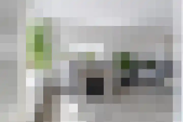 Sixmastins 2 Stiens thumbnail 30