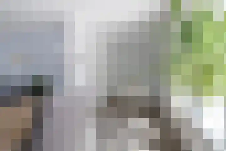 Sixmastins 2 Stiens thumbnail 31