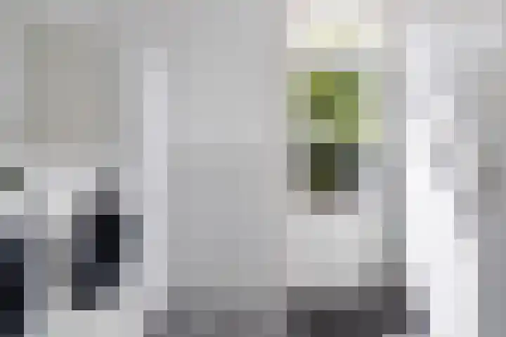 Sixmastins 2 Stiens thumbnail 38