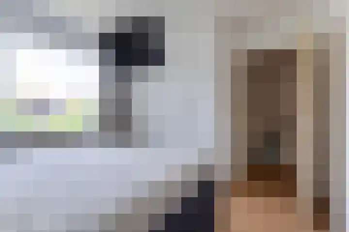 Sixmastins 2 Stiens thumbnail 41