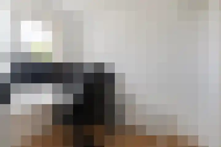 Sixmastins 2 Stiens thumbnail 46